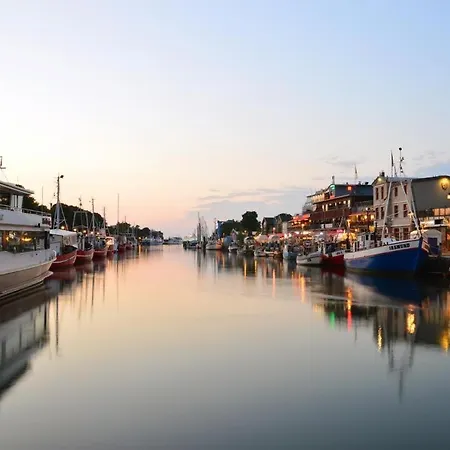 Seevogel/fischreiher Rostock