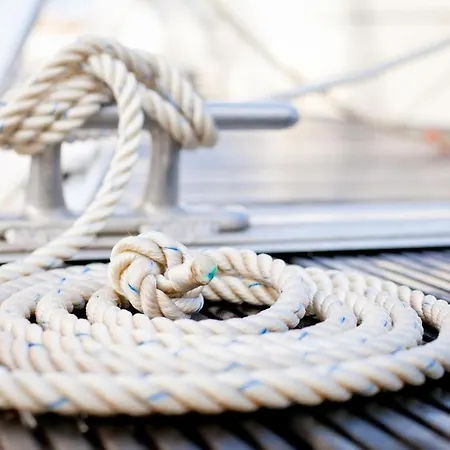 Seevogel/fischreiher Apartment Rostock