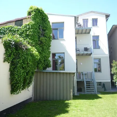 Seevogel/fischreiher * Rostock