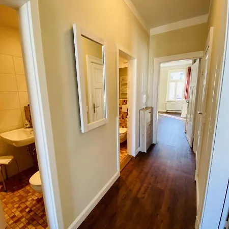 Seevogel/fischreiher Rostock