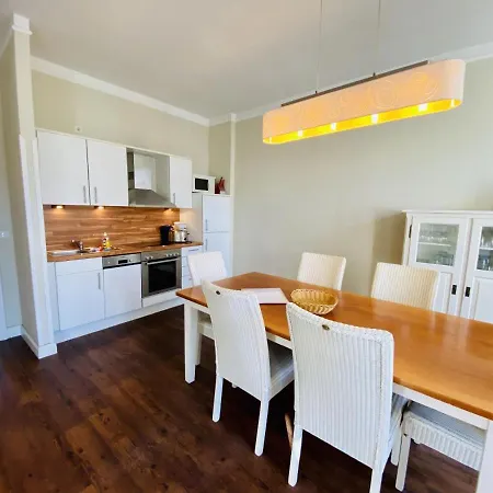 Seevogel/fischreiher