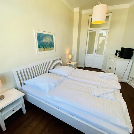 Seevogel/fischreiher * Rostock