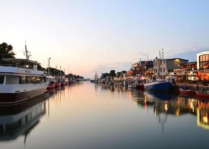 Seevogel/fischreiher ロストック