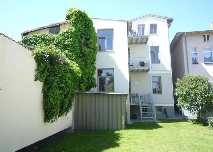 Seevogel/fischreiher * ロストック