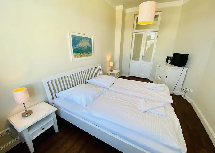 Seevogel/fischreiher * ロストック