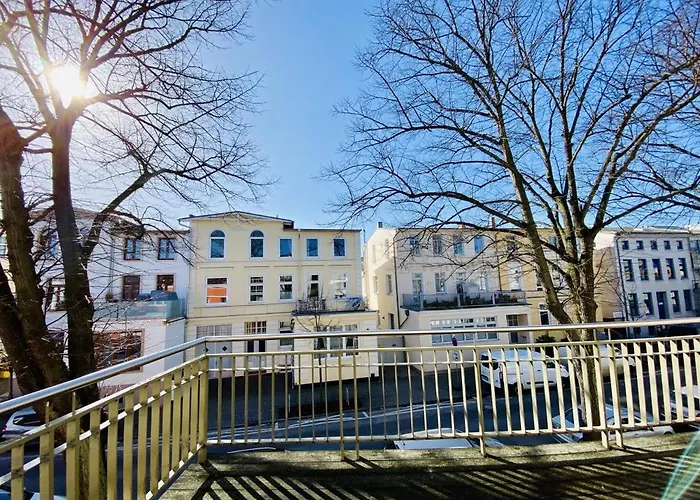 Seevogel/fischreiher *